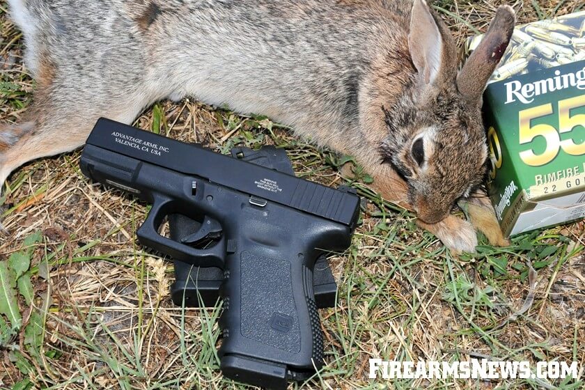 Best Prepper Guns for Defense, Homesteading and Worst-Case S - Firearms News