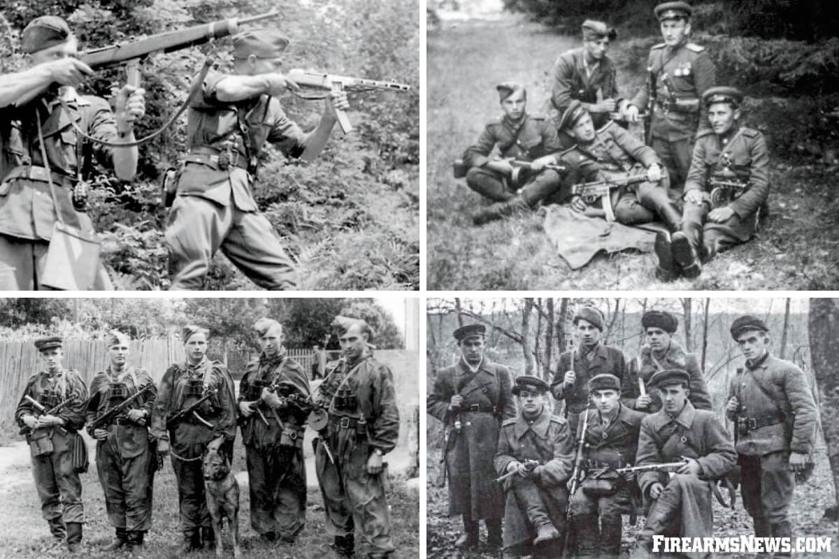 Ukrayins'ka Povstans'ka Armiya - The History and Small Arms of the Ukrainian Insurgent Army 