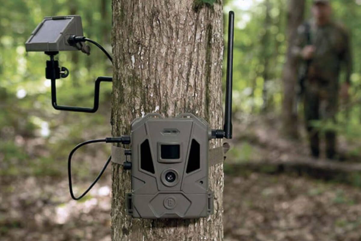 Bushnell CelluCORE 20 Solar Trail Camera: First Look