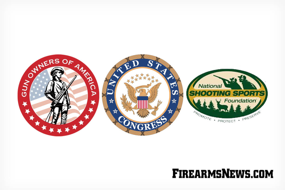 Gun Groups Call for Members to Help Sway 'Assault Weapon' Ban Vote