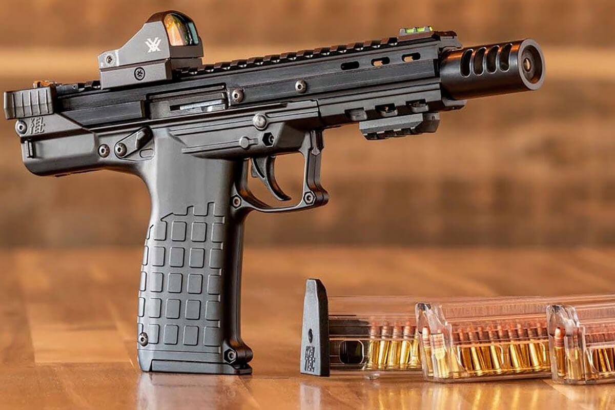 KelTec CP33 Accessories Your Gun Needs