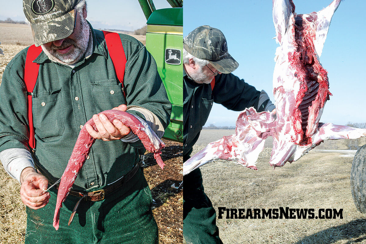 Why Hanging a Deer before Butchering is a Vital Preparatory Step