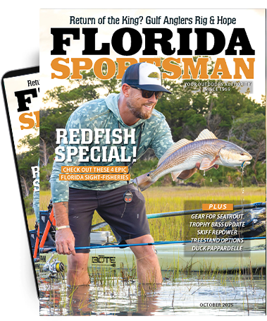 Subscribe to the Magazine