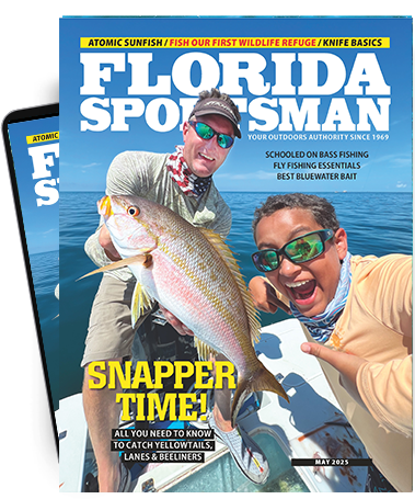 Subscribe to the Magazine