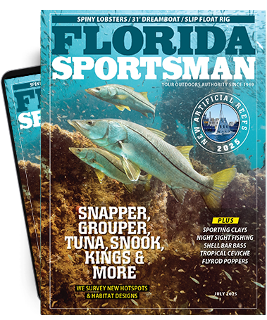 Subscribe to the Magazine