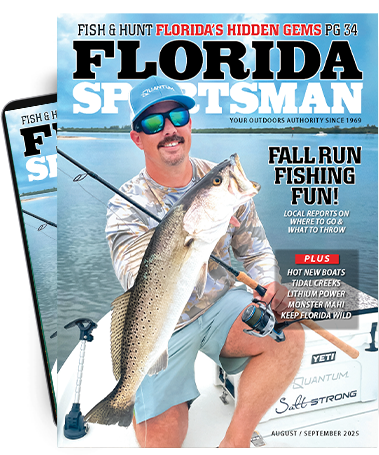 how to rig live shrimp for redfish