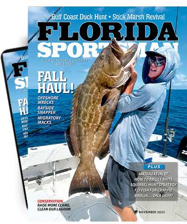 Subscribe to the Magazine