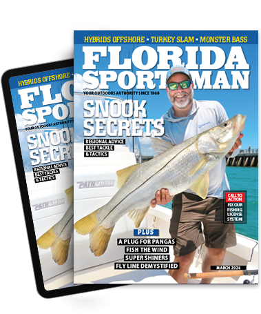 Subscribe to the Magazine