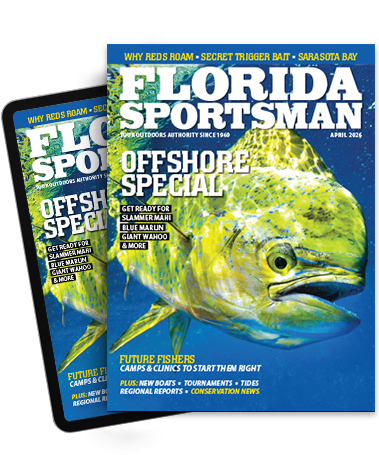 Subscribe to the Magazine