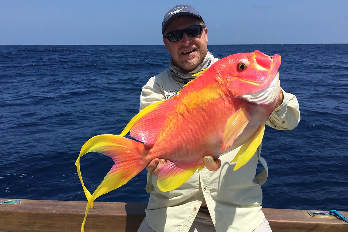 Steve Wozniak with the rare gorgeous swallowtail fish