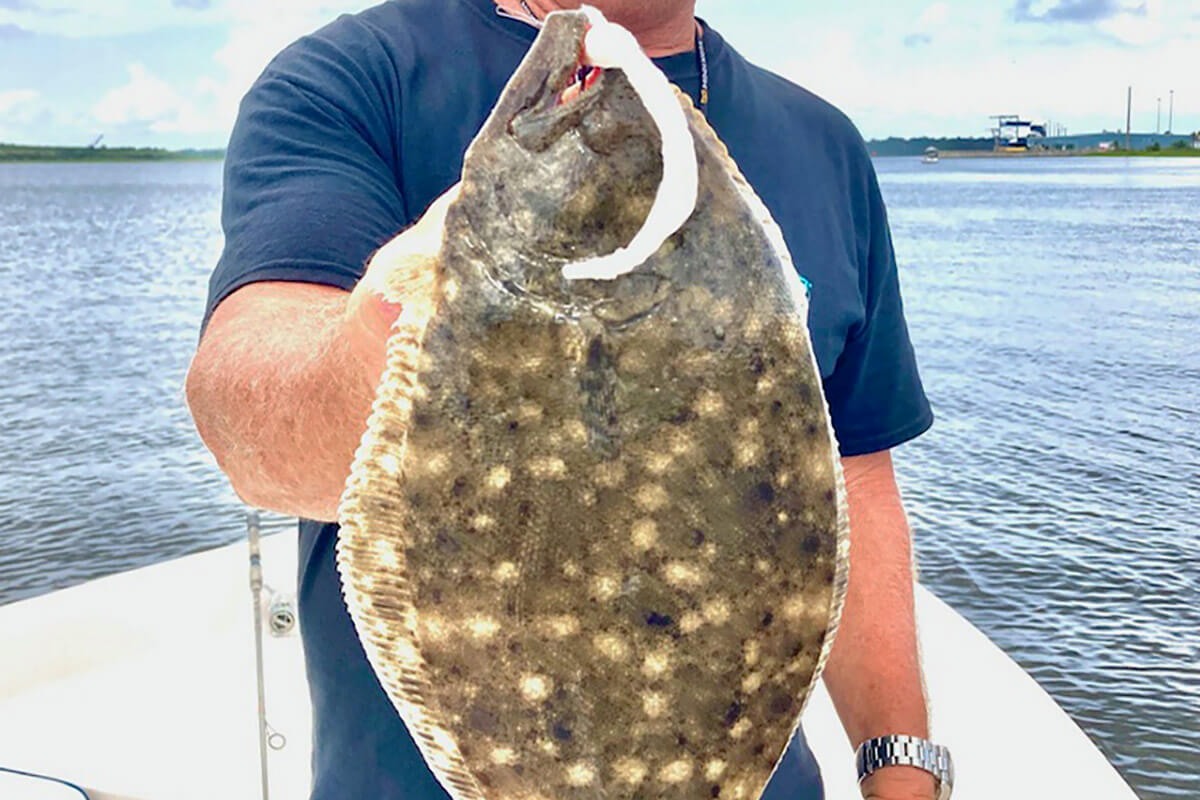 8 Best Flounder Baits & Rigs - Florida Sportsman