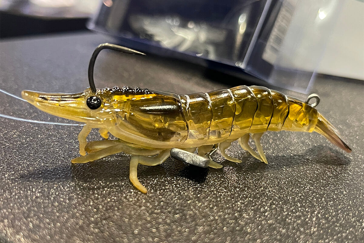 Best of ICAST 2022