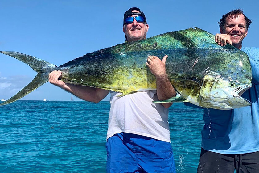 Mahi Mahi Fish Fishing Guide [2023 Update]