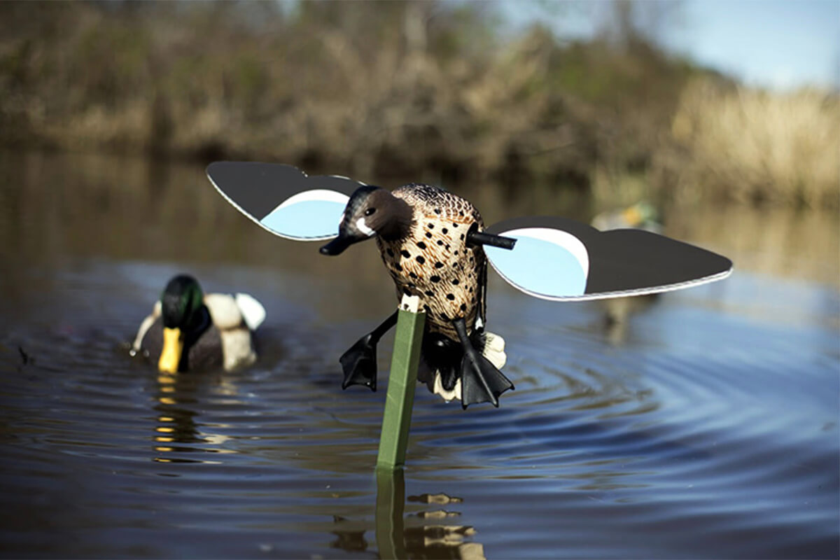 Late vs. Early Season Decoys for Duck Hunting