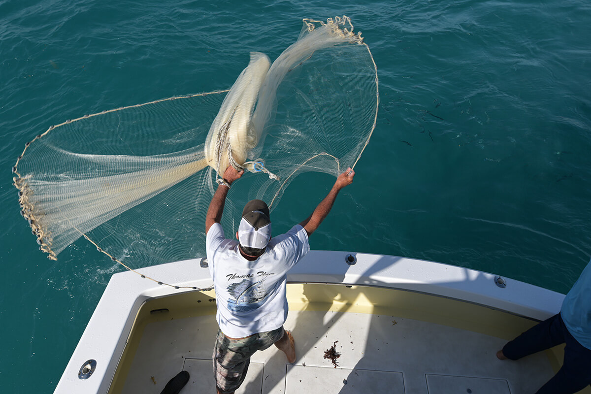 Sailfish Seminar - Florida Sport Fishing TV - Kite Fishing, Tackle  Selection, Baits 