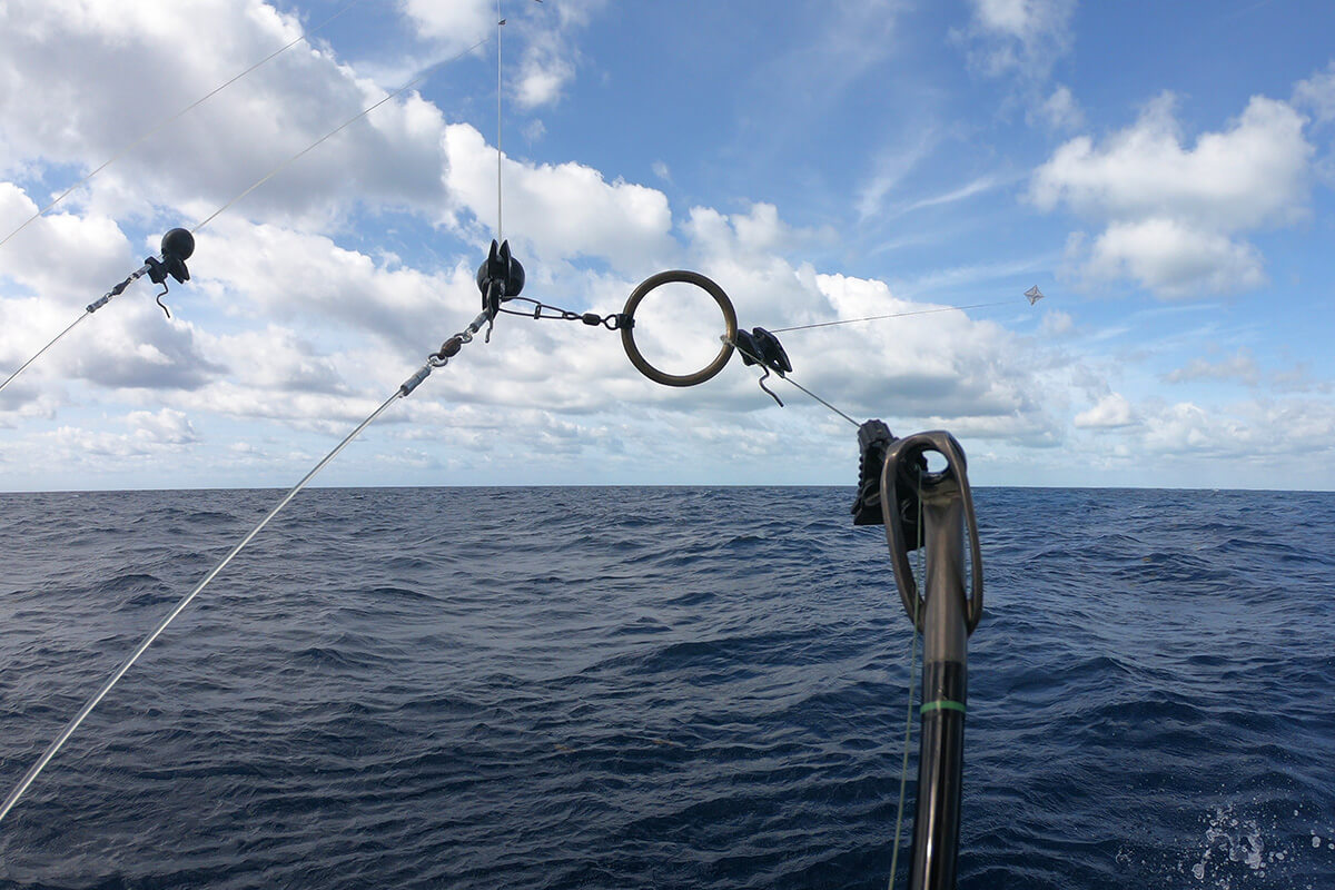  Fishing Kite