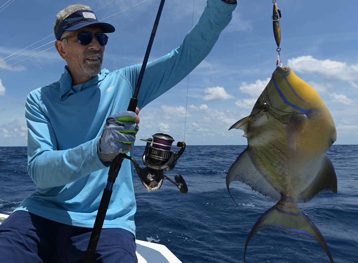 Expert Kite Fishing Tips for Sailfish, Tuna, Kingfish & More - Florida  Sportsman