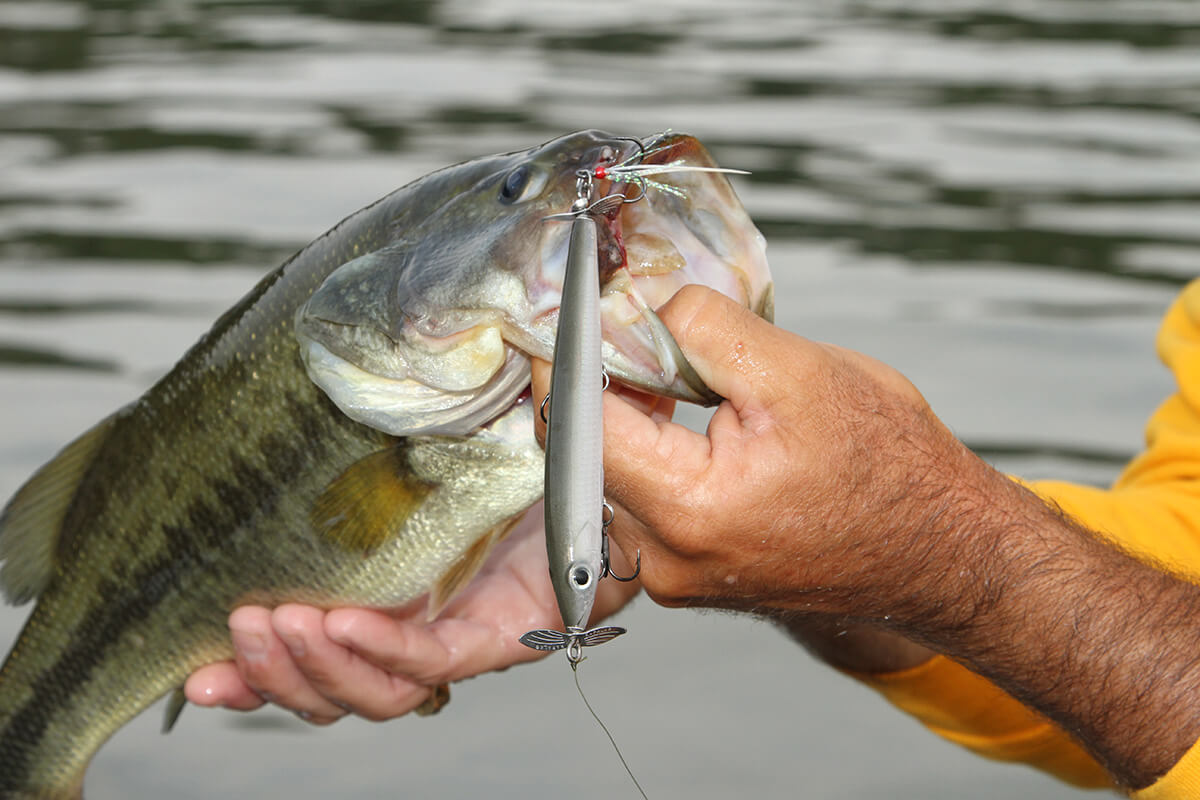 Fish the Pre-Spawn for the Biggest Bass of the Year - Florida Sportsman