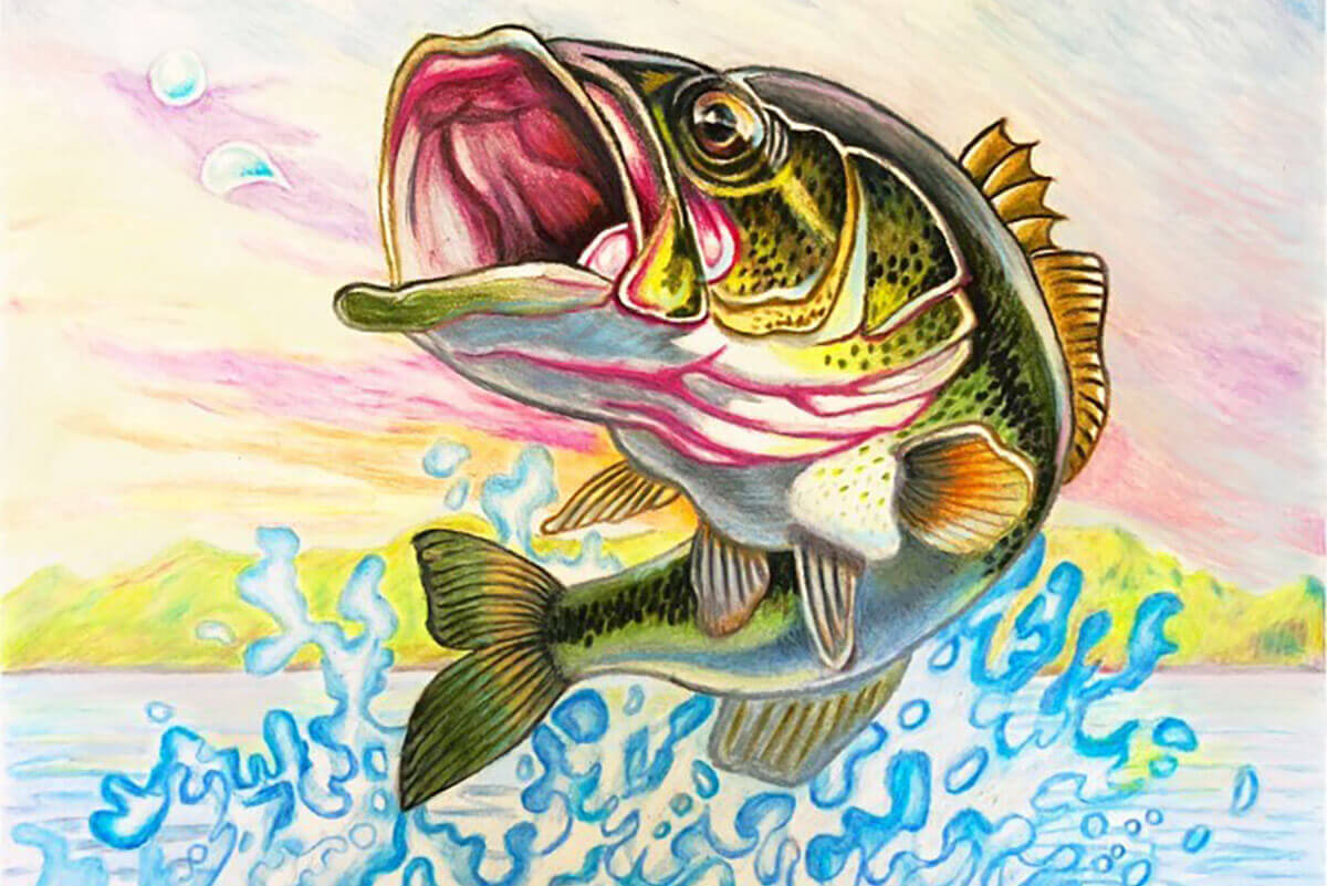 FWC to Host Florida State Fish Art Contest