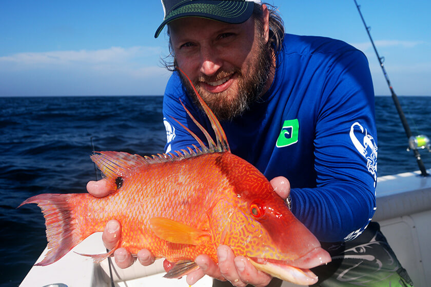 Catching Hogfish on Hook & Line