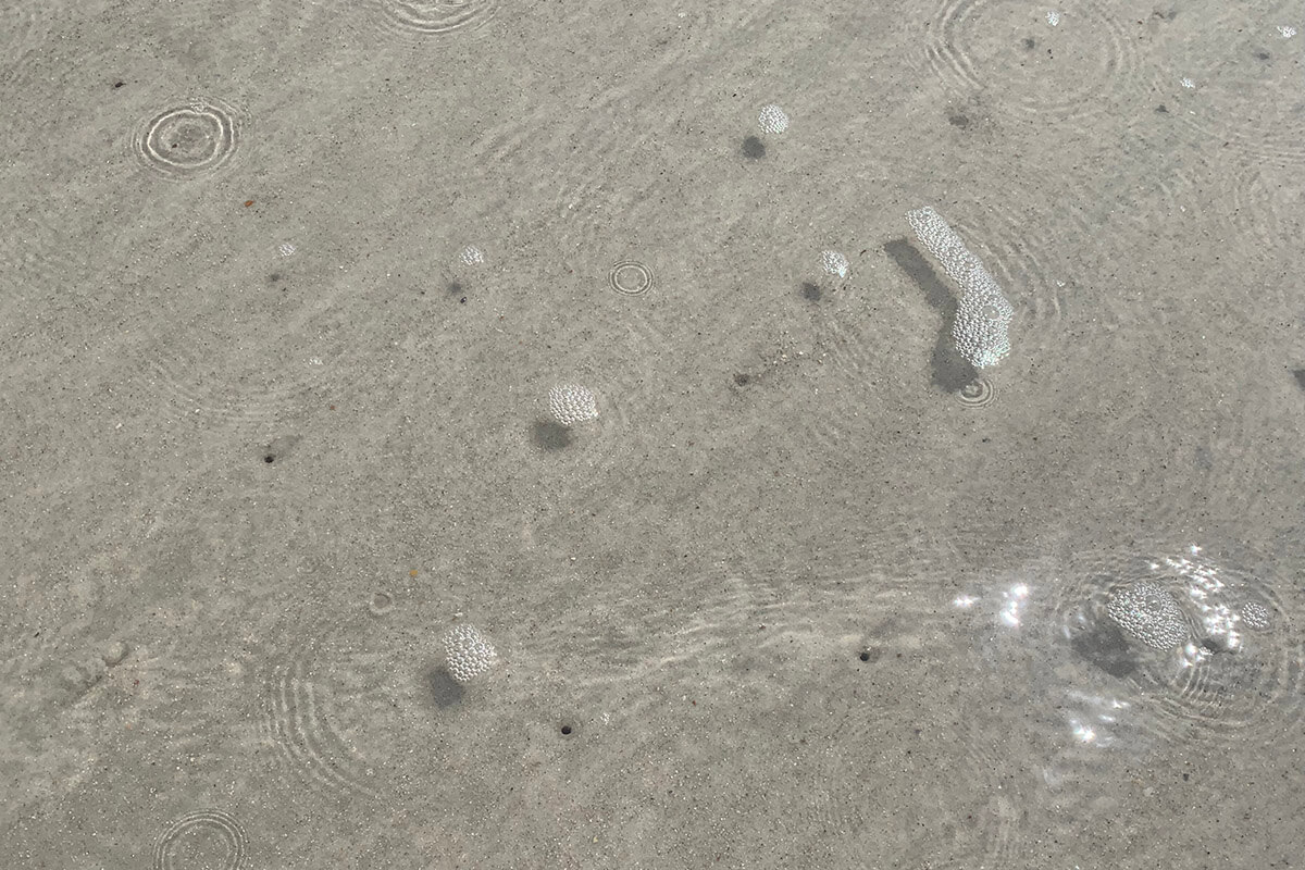 tiny holes in the beach sand that hold ghost shrimp