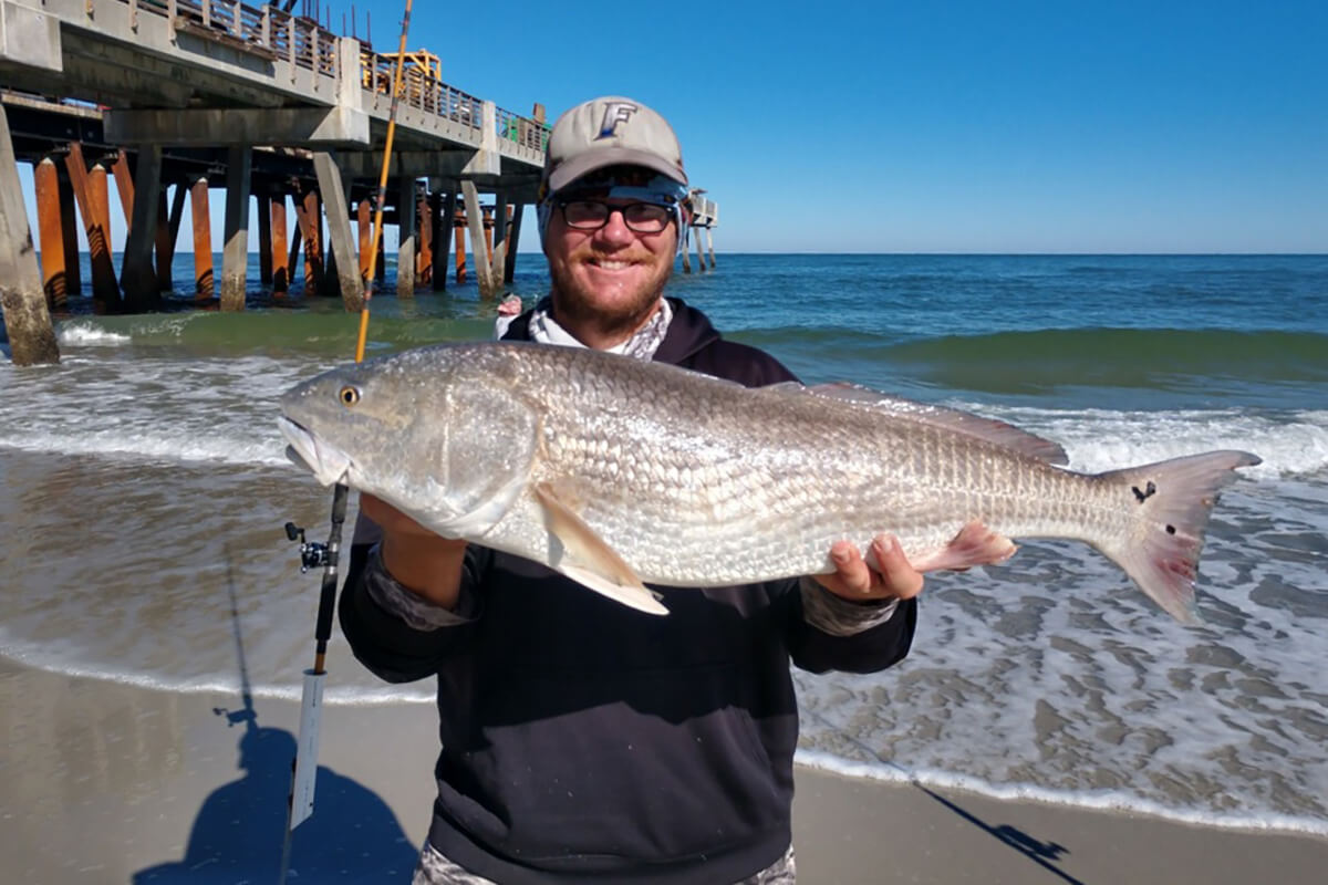 Surf Fishing Secrets: How to Catch Ghost Shrimp for Bait - Florida Sportsman