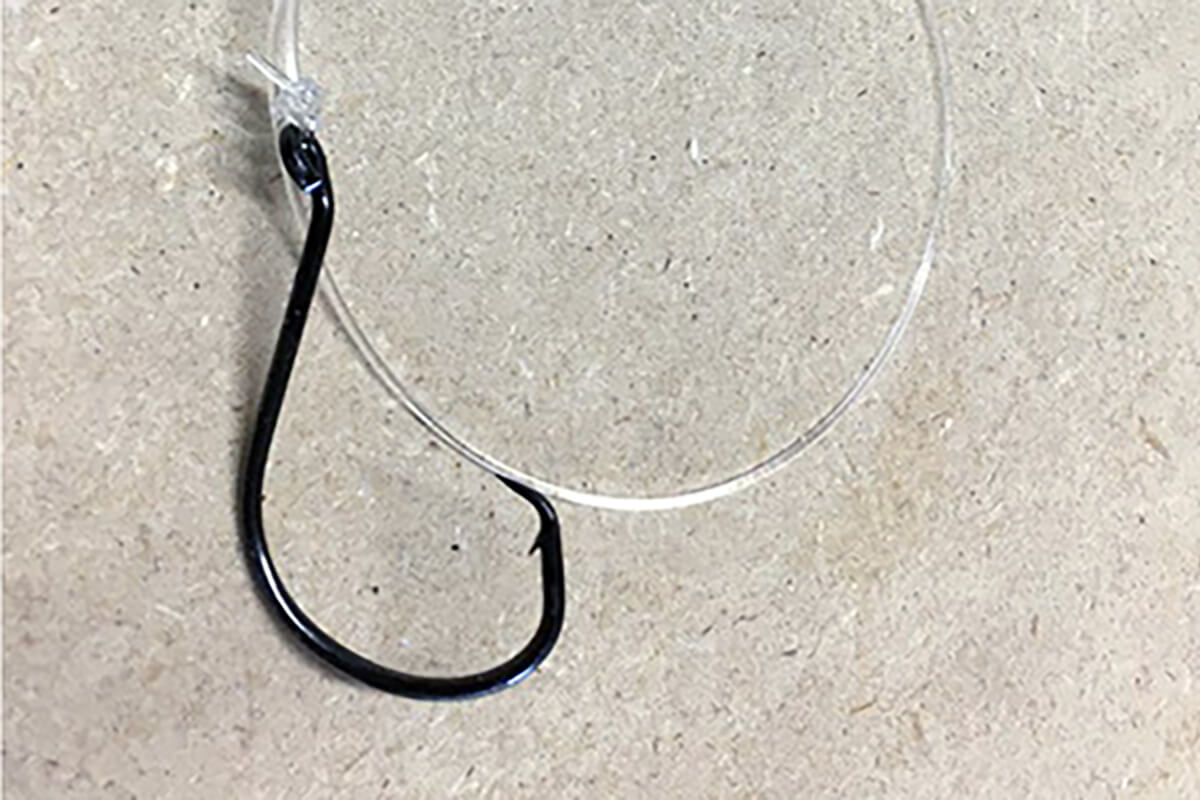 close up of mustad triangle circle hook