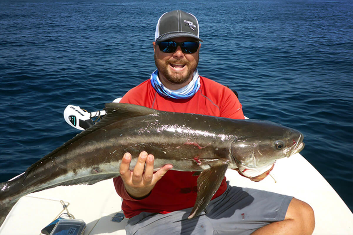 How to Keep Cobia Away From Sharks - Florida Sportsman