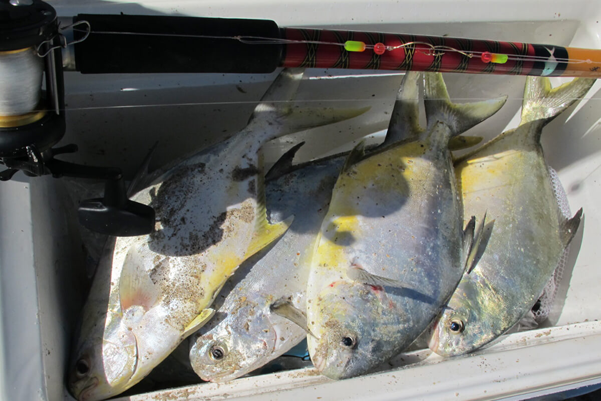 Pompano Fishing: Reading the Water, Finding Bait & the Best