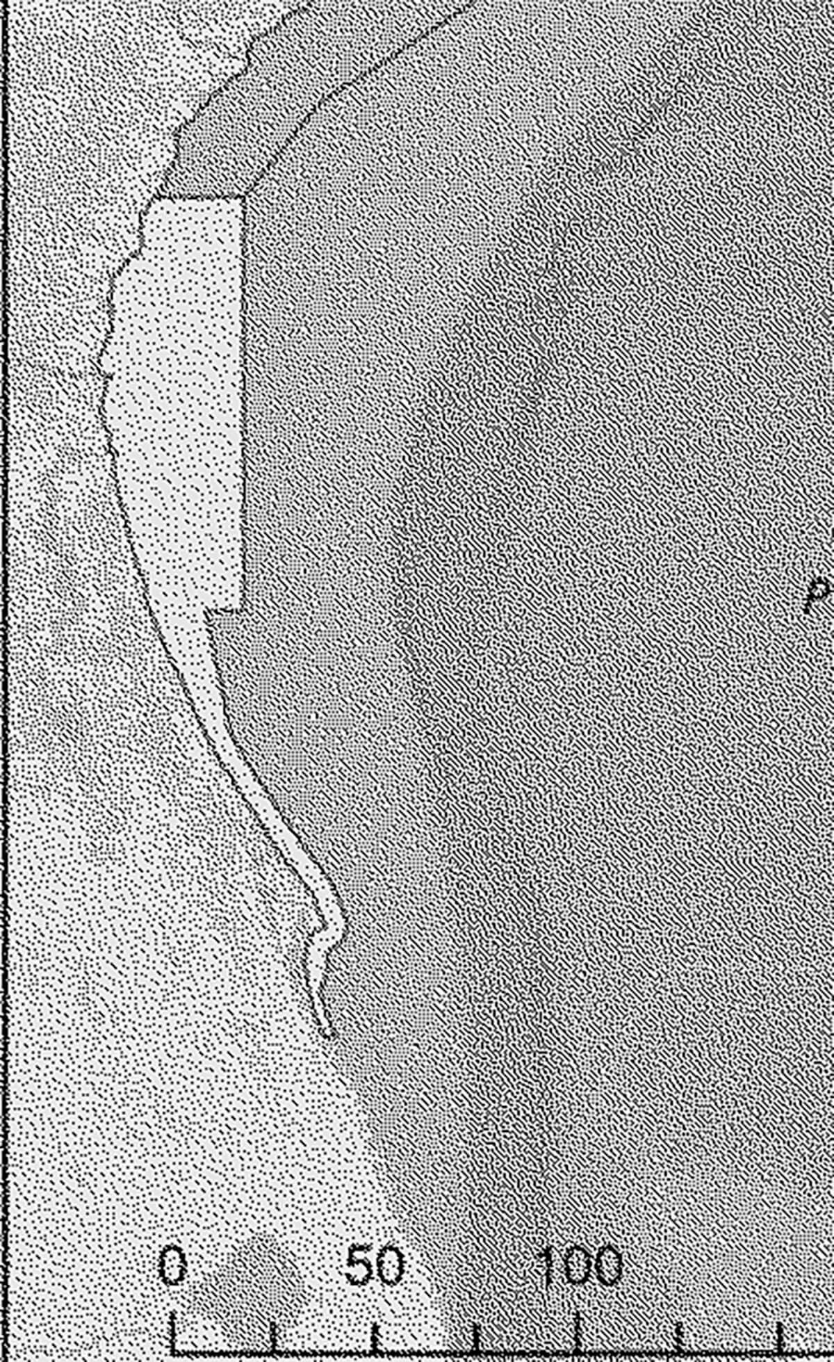 Seasonal Slow Speed in Whale Zones Proposed for Northeast Fl - Florida