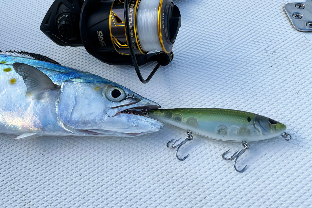 Lot of 8 saltwater fishing lures - Poppers, swim plugs, metal jigs