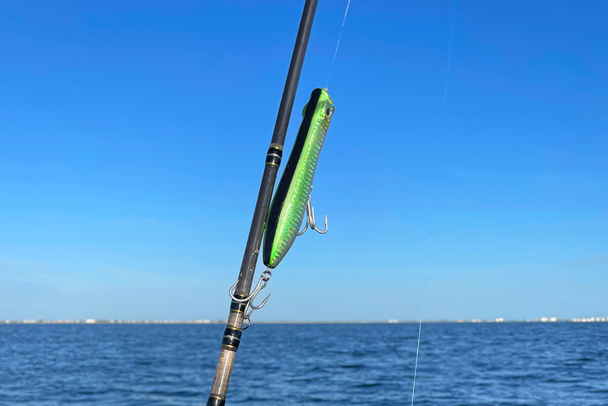 Sailing the Seas of Excitement: A Comprehensive Guide for Saltwater Fishing