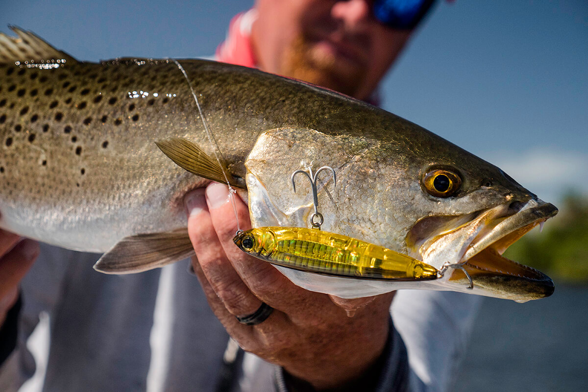 Saltwater Fishing Plugs: Types, Tips & Benefits - Florida Sportsman