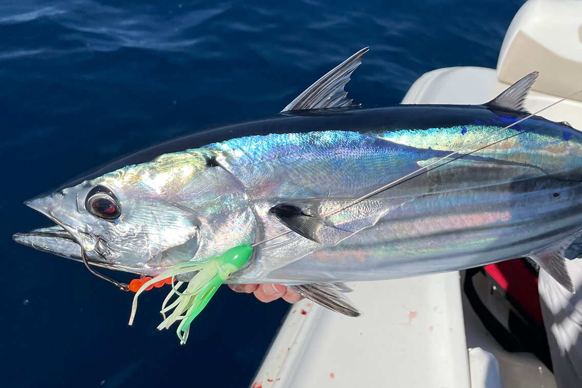 4 X Mini Trolling Jig, Unique rig for trolling mackerel, bluefish, tuna 