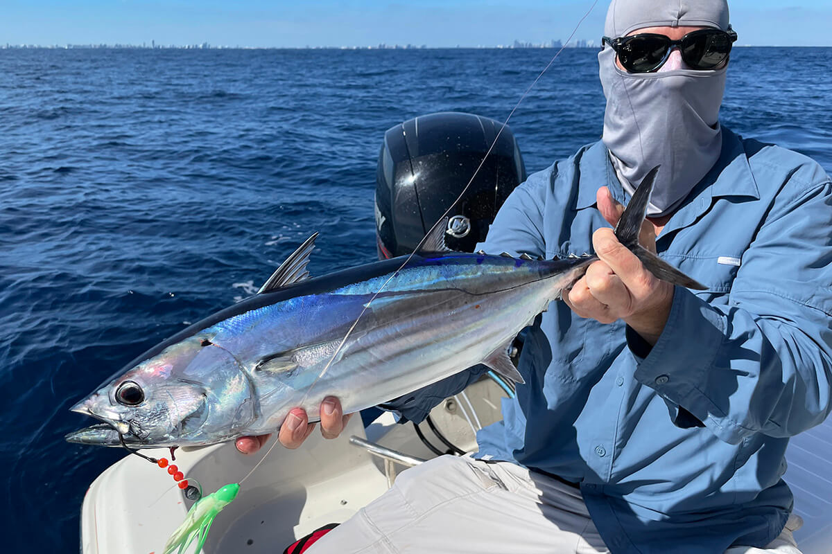 Everything You Need to Know About Skipjack Tuna - Florida Sportsman