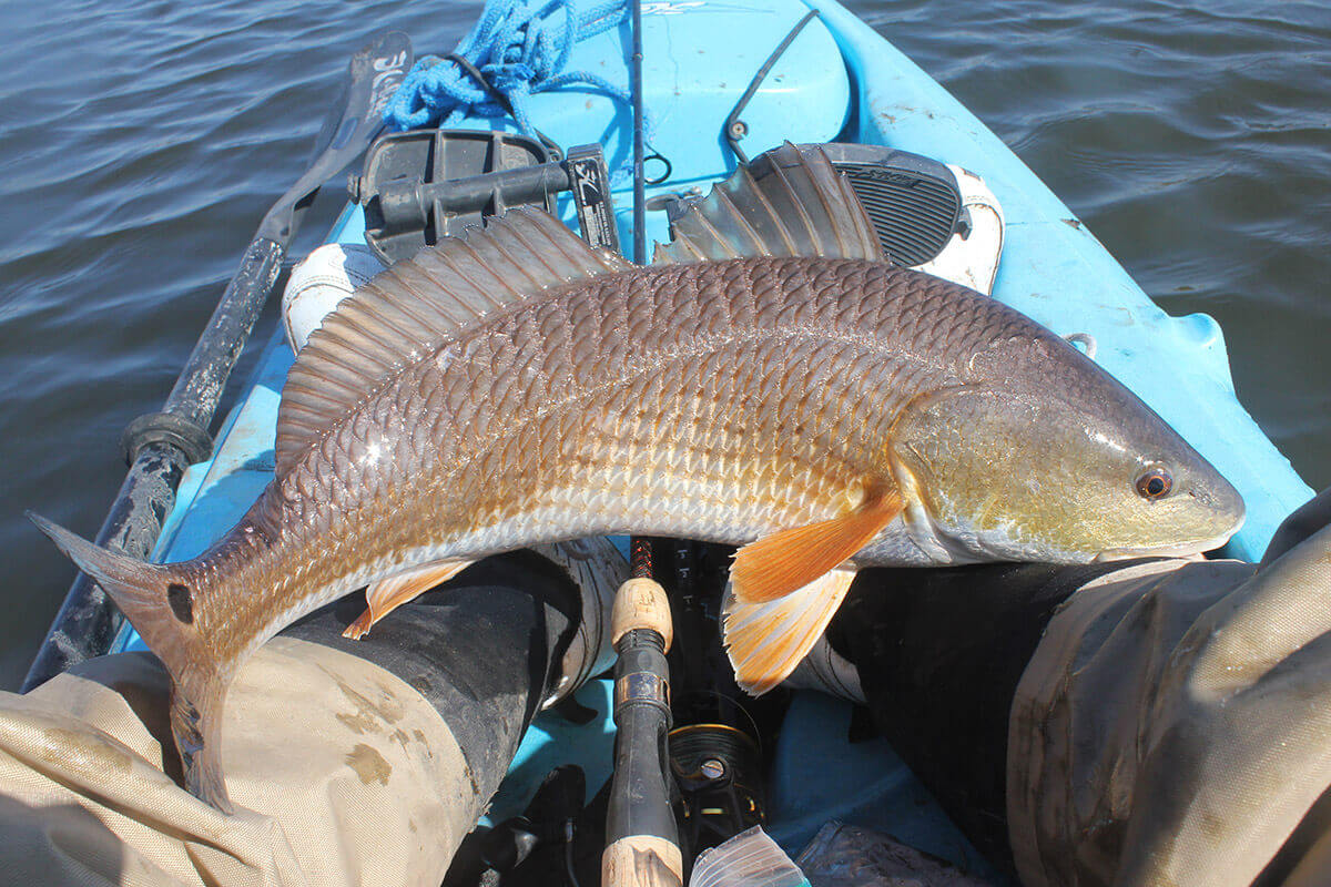 Fishing for Redfish in Lower Mobile Bay Bayous