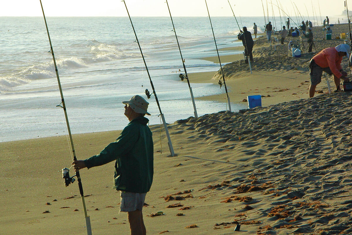 Surf Fishing Bait Prep: How to Make Salt Clams & Preserve Sa - Florida  Sportsman