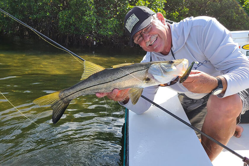 Snook, Redfish & Seatrout to Reopen in Tampa Bay