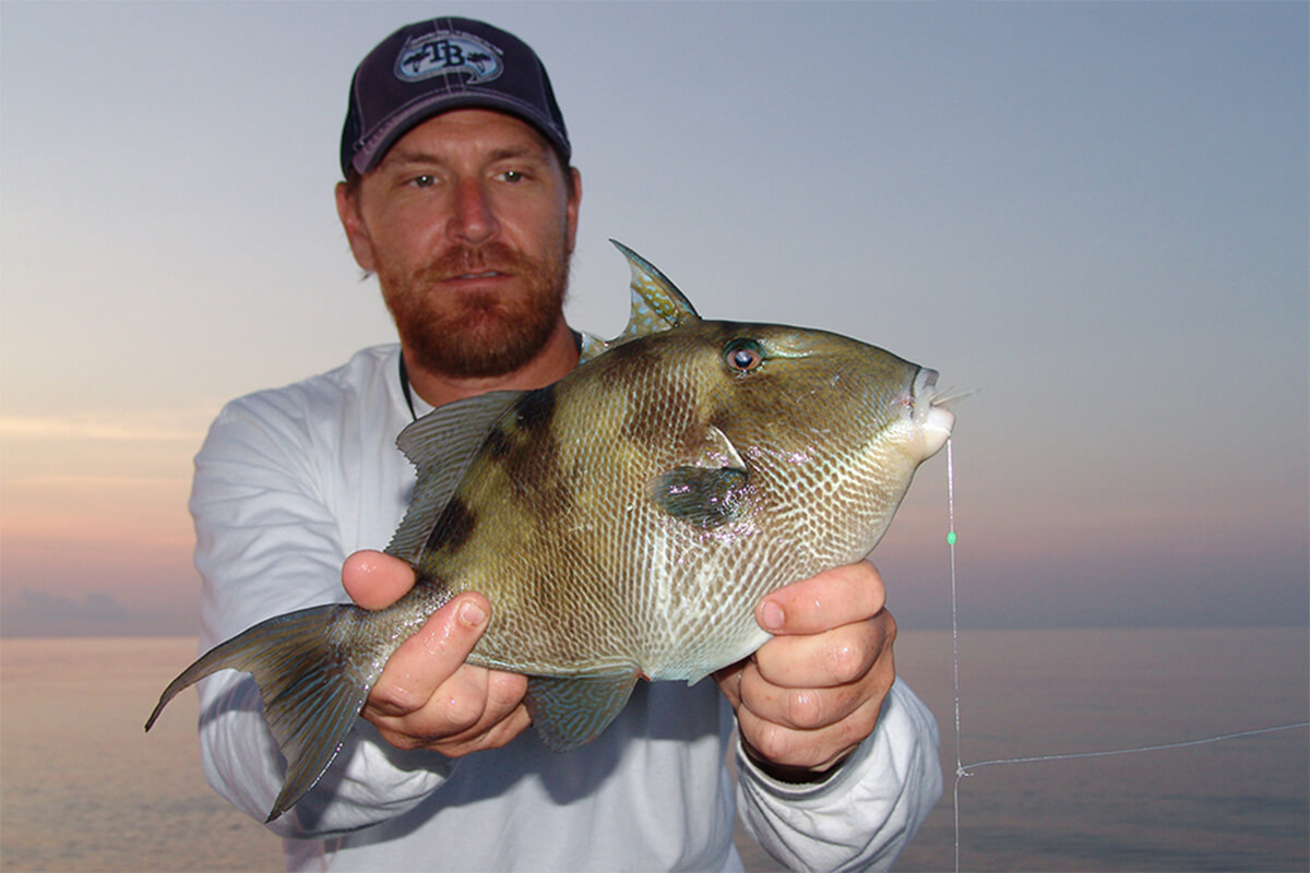 How to Catch Triggerfish: Best Bait, Tactics, Locations & More