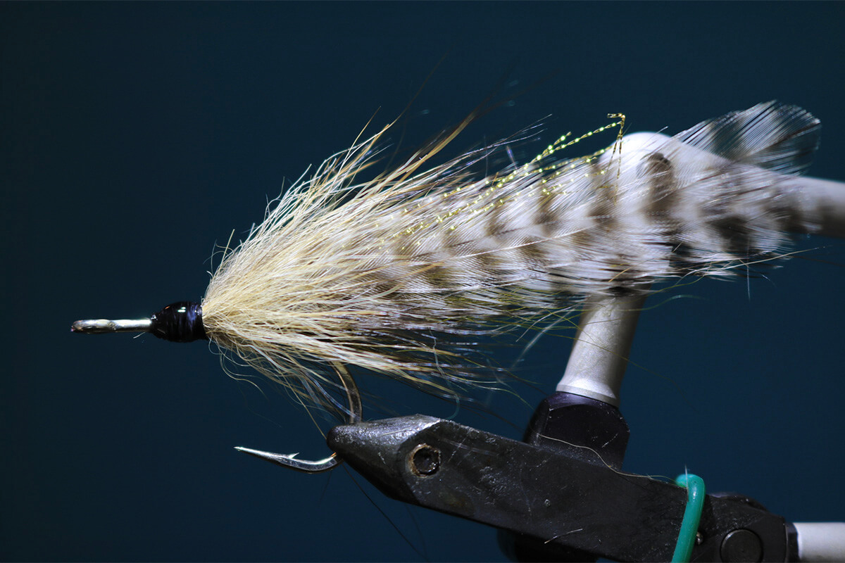 Top Five Tarpon Flies: Best Fly Patterns & Why They Work