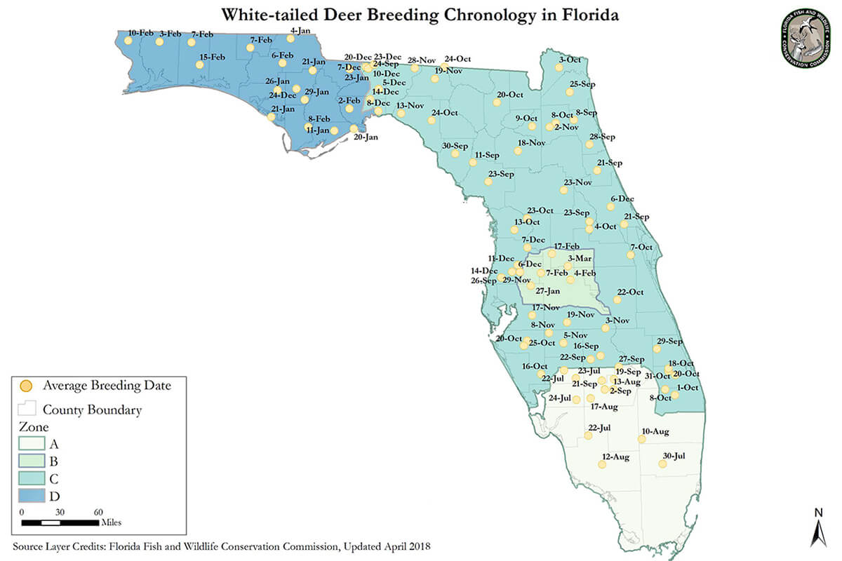 White-tailed Deer Peak Rut Map - Florida Sportsman
