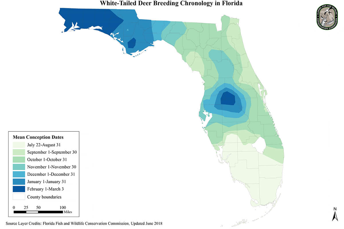 White-tailed Deer Peak Rut Map - Florida Sportsman