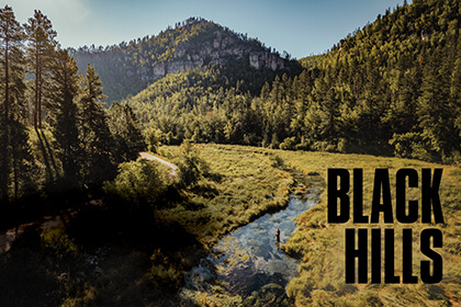 Dust billows behind us as Catherine Smith and I speed along the freshly graded gravel road, winding deeper into a narrow valley crowded with tall ponderosa pines. After miles of seemingly endless forest, we crest a rise and suddenly find ourselves crossing an open prairie, strangely devoid of the dense pines that, from a distance, give these hills their characteristic dark color and their Lakota name, Pahá Sápa: The Black Hills. 
