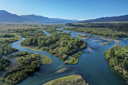 Standing at the edge of a riffle in Section One, a few miles below Palisades Dam, is my good friend Ron Miller. His eyes are locked on a large rising trout, feasting on hatching Pale Morning Duns in the beautiful afternoon sunlight. If I told him his hair was on fire, he wouldn't hear a word I said—he is that focused. He makes a precise cast and gets a good drift above the feeding fish, only to have it ignored. Continuing to study what precisely it's feeding on, he decides on a different bug.