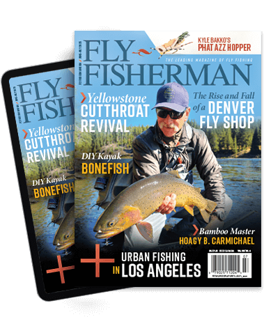Subscribe to the Magazine