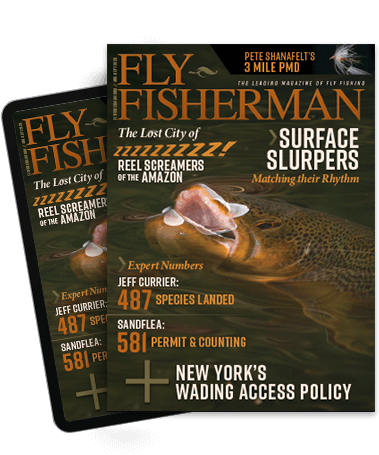 Subscribe to the Magazine