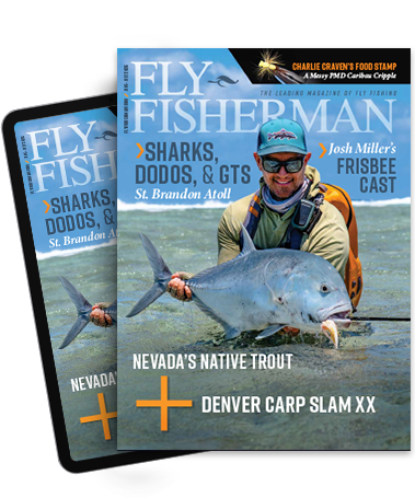 Winston Boron III LS - Fly Fisherman