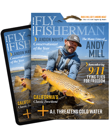 Subscribe to the Magazine