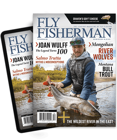 Protect Your Dream Trip: Sea Run Norfork Expedition Cobalt C - Fly