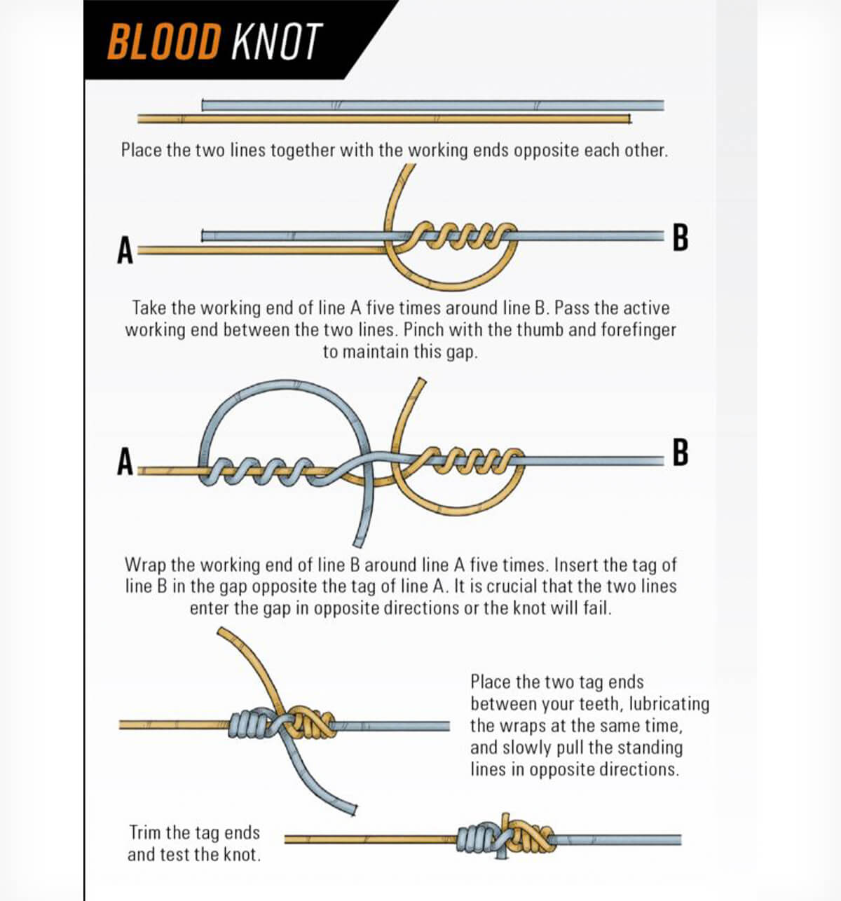 fly fishing leader knots